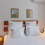 Casas Do Porto - Azalea And Hortensia Mosteiros (Azores)