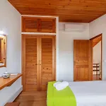 Casas Do Porto - Azalea And Hortensia * Mosteiros (Azores)