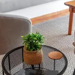 Casas Do Porto - Azalea And Hortensia *