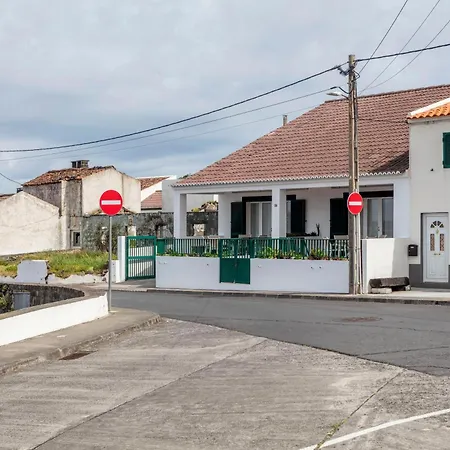 Casas Do Porto - Azalea And Hortensia * Mosteiros (Azores)