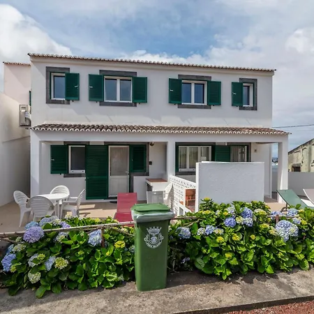 Casas Do Porto - Azalea And Hortensia *