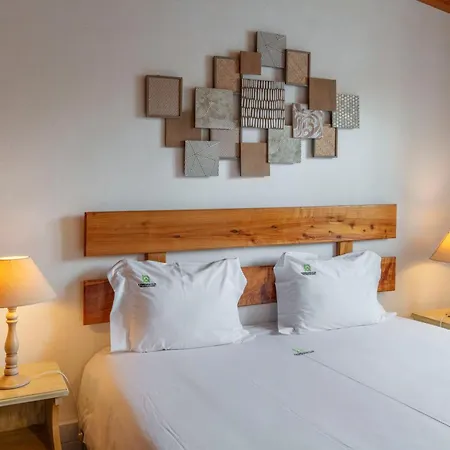 Casas Do Porto - Azalea And Hortensia Holiday home