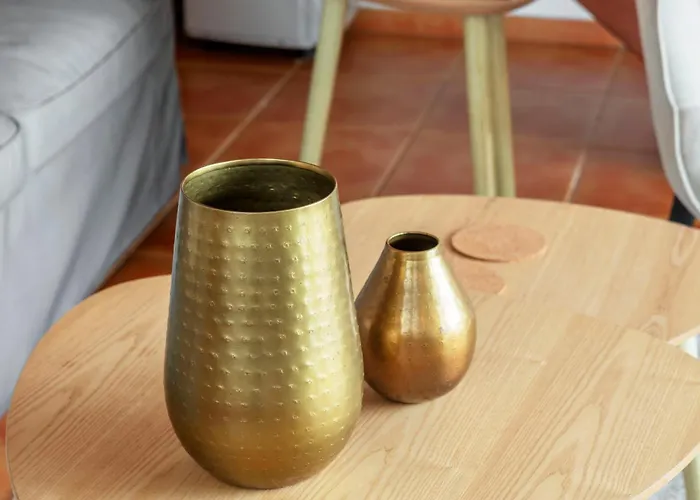 Casas Do Porto - Azalea And Hortensia