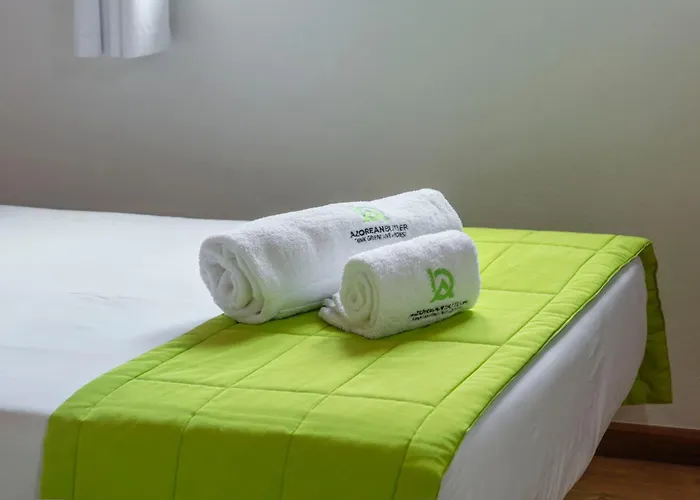 Casas Do Porto - Azalea And Hortensia *