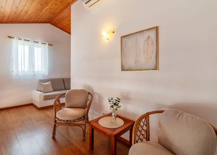 Casas Do Porto - Azalea And Hortensia *