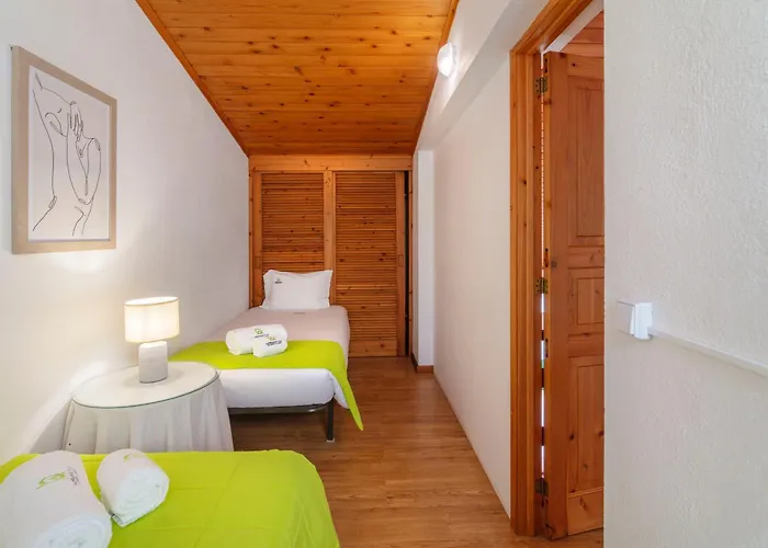 Casas Do Porto - Azalea And Hortensia