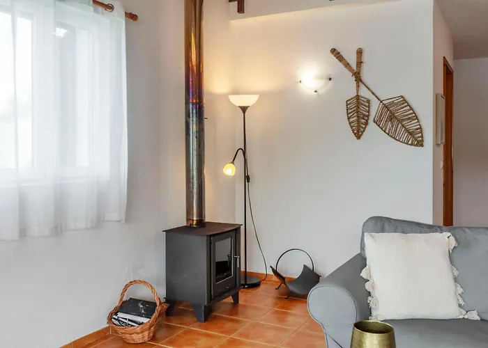 Casas Do Porto - Azalea And Hortensia *