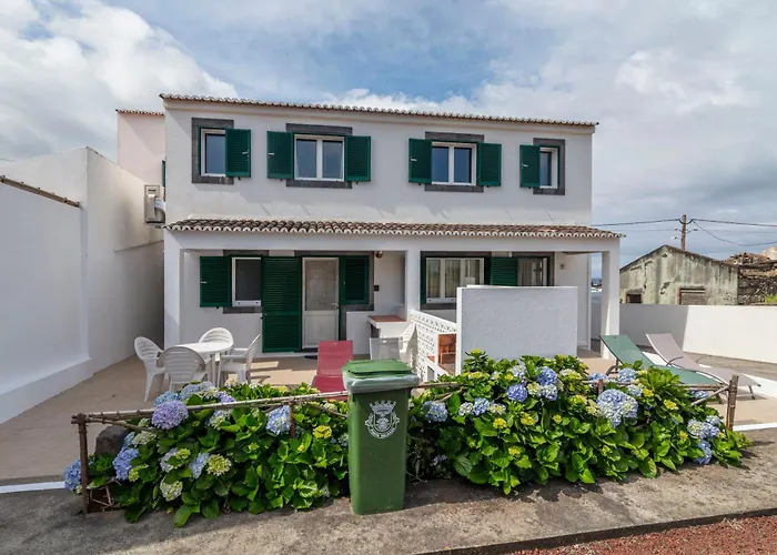 Casas Do Porto - Azalea And Hortensia *