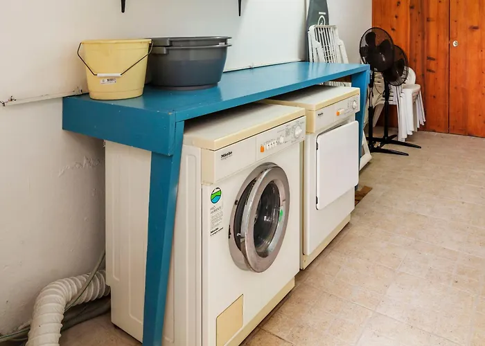 Casas Do Porto - Azalea And Hortensia * Mosteiros (Azores)