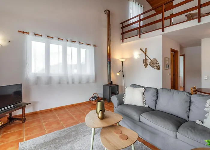 Casas Do Porto - Azalea And Hortensia